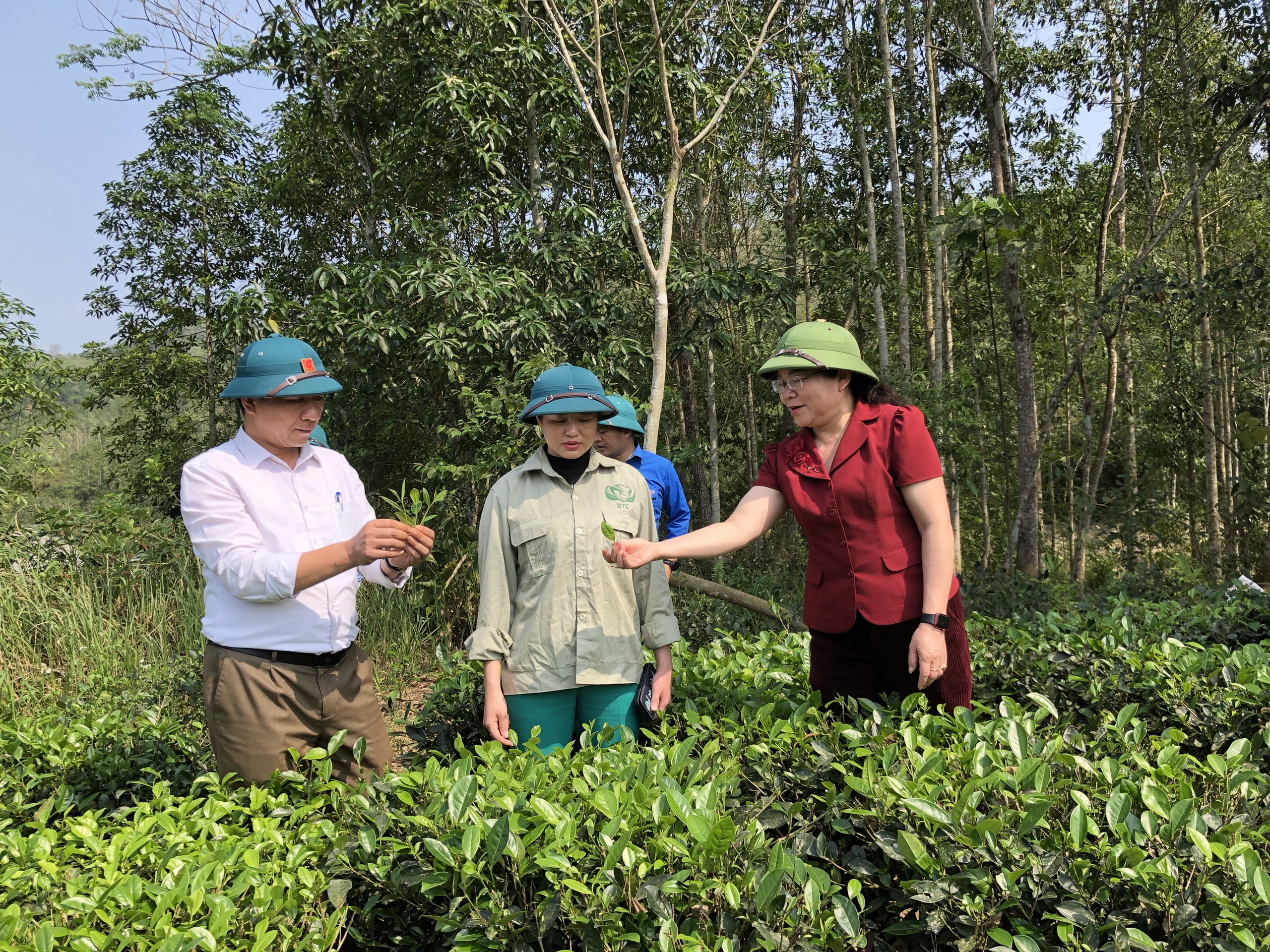 Đồng chí Phó Chủ tịch UBND huyện kiểm tra, thăm nắm tình hình triển khai nhiệm vụ đầu năm 2024 tại xã Chu Hương