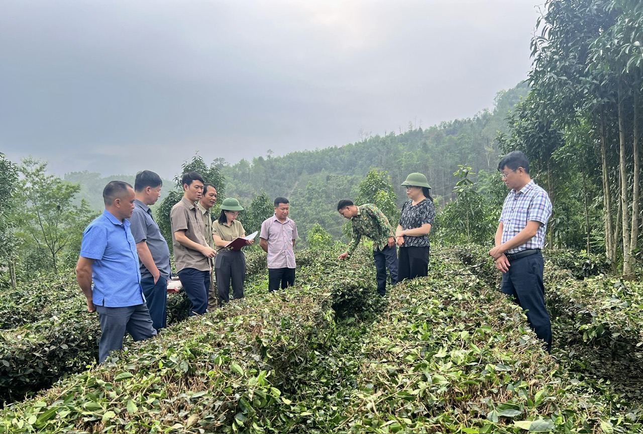 Ban Kinh tế- Ngân sách HĐND tỉnh giám sát việc thực hiện Chương trình khuyến nông giai đoạn 2019-2024 tại Ba Bể